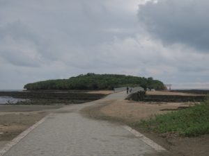 宮崎市 青島 弥生橋 青島神社の鳥居が見えます