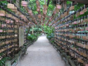 宮崎市 青島神社 御成道 境内の途中に木が倒れているのは、台風の影響と思われます