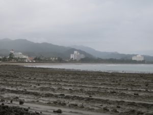 宮崎市 青島 鬼の洗濯板 こどもの国方向を撮影