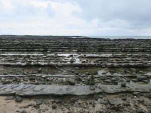 宮崎市 青島 鬼の洗濯板 海側を撮影