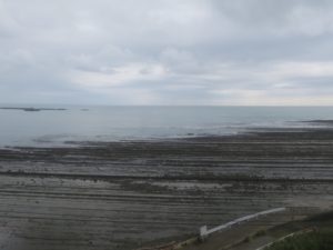 JR日南線 内海-小内海 車窓 鬼の洗濯板が見えます