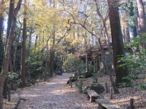 成田山公園 御滝不動尊・洗心堂