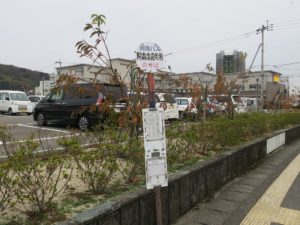 阿南バス 阿南市役所前 バス停留所