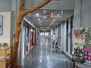 太龍寺ロープウェイ 山麓駅 ロープウェイ乗り場への通路