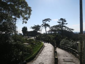 鳴門公園 お茶園展望台 全景