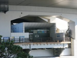 鳴門公園 大鳴門橋 遊歩道 渦の道 大鳴門橋の下にあります