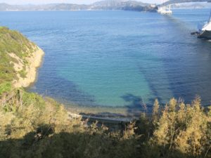 鳴門公園 千畳敷展望台 すぐ下の海岸線