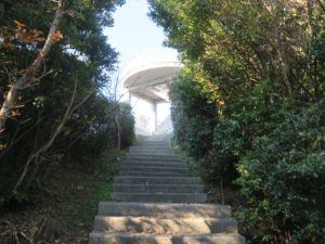 鳴門公園 鳴門山展望台 千畳敷展望台から登ってきたところ