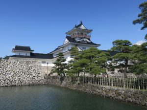 富山城 富山市郷土博物館 松並木から撮影