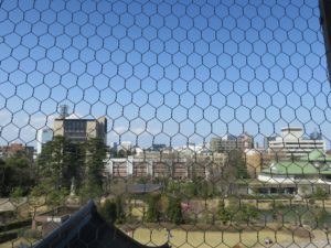 富山城 天守閣 北側を撮影