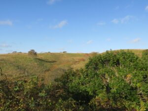 根室 明治公園 野鳥観察舎から見える景色