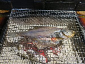 宗八かれい 焼いているところ 炉ばた 煉瓦にて