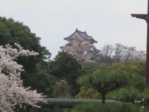 彦根城 天守閣 彦根市内から撮影