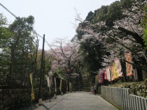 滋賀県大津市 三井寺 総門からの石段