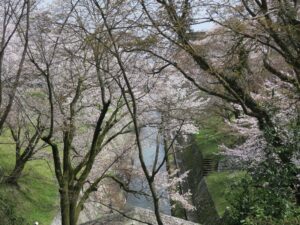 琵琶湖疎水 一番上から撮影