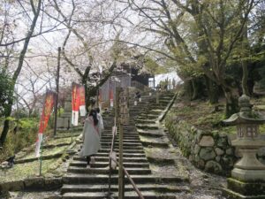 滋賀県大津市 三井寺 観音堂への石段