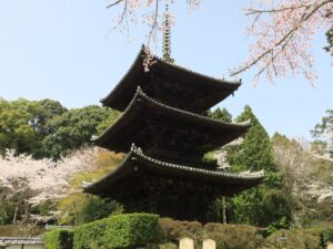 滋賀県大津市 三井寺 三重塔