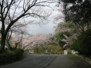 近江神宮への方向を示す看板に従って進んだ先 どうやら駐車場のようです