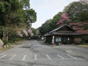 近江神宮への方向を示す看板に従って進んだ先 駐車場の先にお蕎麦屋さんがありました