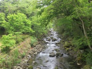 湯ヶ島温泉 男橋からの景色