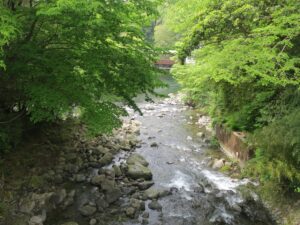 湯ヶ島温泉 男橋からの景色