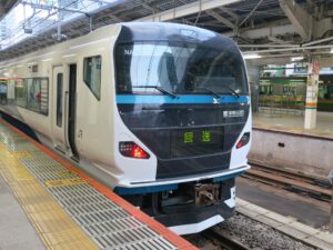 JR東日本 E257系 特急踊り子 特急湘南 非貫通型前面 東京駅にて