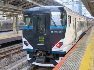JR東日本 E257系 特急踊り子 特急湘南 貫通型前面 東京駅にて