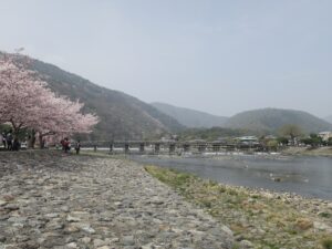 嵐山 渡月橋 嵐山公園から撮影