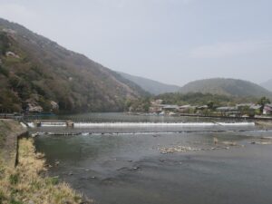嵐山 渡月橋から見える桂川 山側を撮影 桜がとってもキレイでした