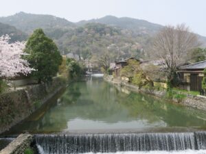 京都 嵐山公園 中ノ島橋からの景色 桜がとってもキレイでした