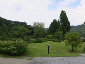 香山公園 あじさい園