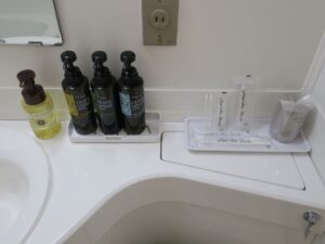 山口 湯田温泉 ホテルニュータナカ シングルルーム アメニティ類