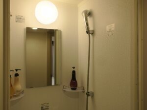 天然温泉間門の湯 ホテルドーミーインPREMIUM下関 ダブルルーム シャワールーム