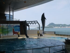 下関市立しものせき水族館 海響館 イルカとアシカショー 関門大橋をバックに2頭のイルカがジャンプ