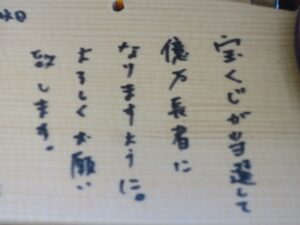 秩父市 聖神社 奉納された絵馬 宝くじが当選して億万長者になりますように とのことでした