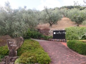 小豆島 オリーブ園 正面入り口