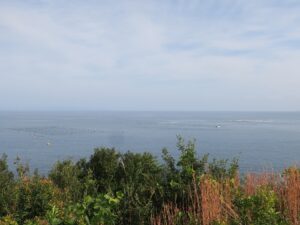 小豆島 こぼれ美島 展望台から撮影 お魚の養殖場でしょうか