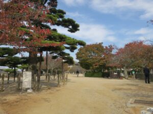 松山城 本丸公園