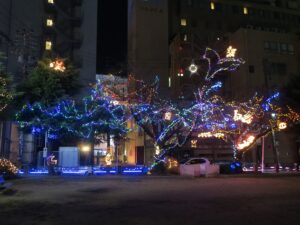 津駅東口 公園にはイルミネーションがありました
