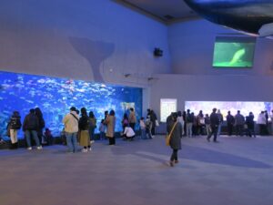 鳥羽水族館 入り口を入ったところの大水槽