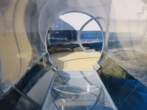 鳥羽水族館 海獣の王国エリア