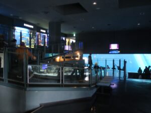 鳥羽水族館 伊勢志摩の海・日本の海エリア
