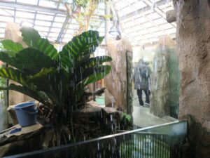 鳥羽水族館 奇跡の森エリア
