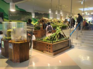 鳥羽水族館 日本の川エリア