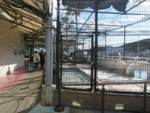 鳥羽水族館 水の回廊(アクアプロムナード)エリア