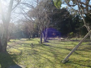 鳥羽城跡 城山公園 広場