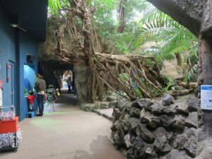 伊勢夫婦岩ふれあい水族館シーパラダイス トロピカル広場