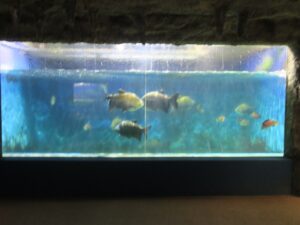 伊勢夫婦岩ふれあい水族館シーパラダイス 水槽