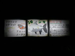 伊勢夫婦岩ふれあい水族館シーパラダイス 説明書き