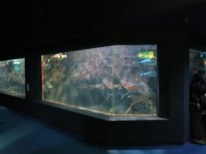 伊勢夫婦岩ふれあい水族館シーパラダイス 海底ごろりんホール